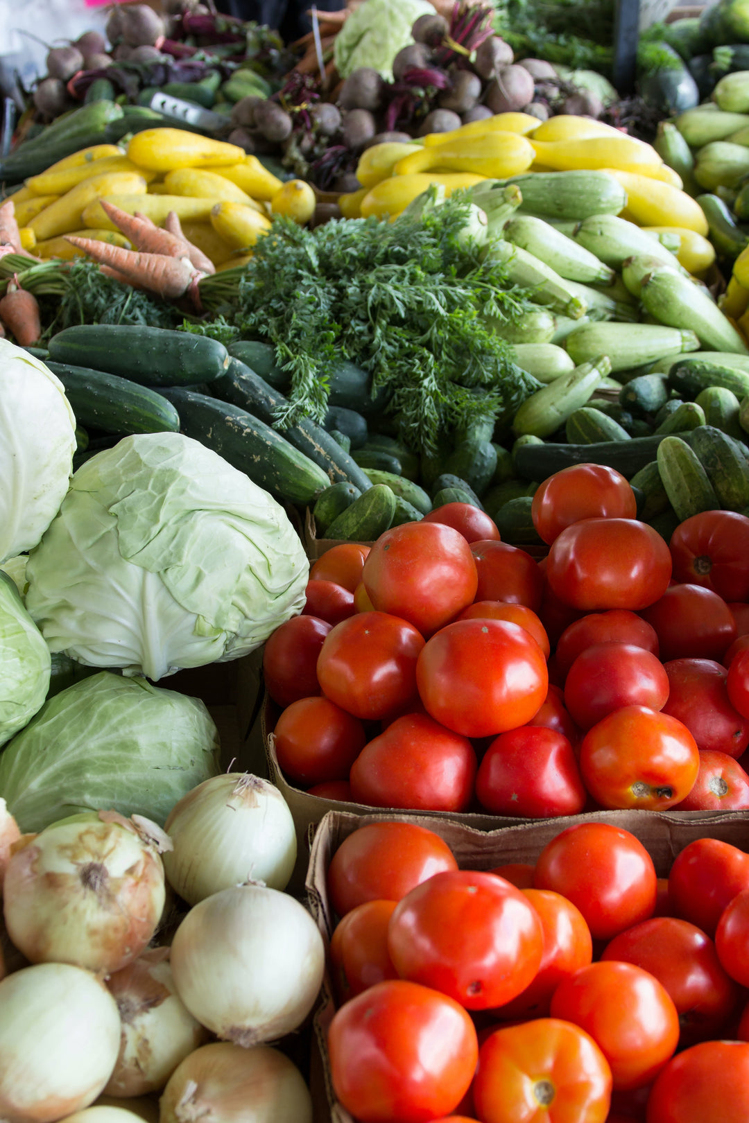 Econome universel pour éplucher les légumes Gefu - La Carpe